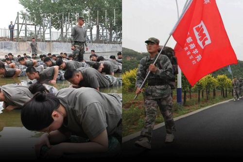 Nhân sự mới bị ép về quê rèn thể lực, đứng dưới nắng nóng, đi bộ 60km, xin ăn