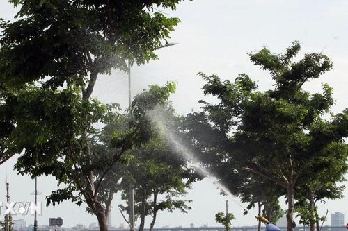 Bộ Công an tiếp tục yêu cầu tỉnh Phú Yên cung cấp hồ sơ các dự án cây xanh