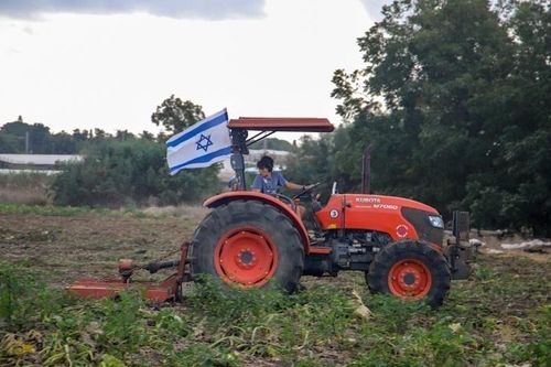 Israel sẽ tuyển 70.000 lao động nông nghiệp nước ngoài trong năm 2025
