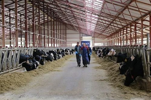 Doanh nghiệp Việt Nam nắm bắt cơ hội tại thị trường Nga