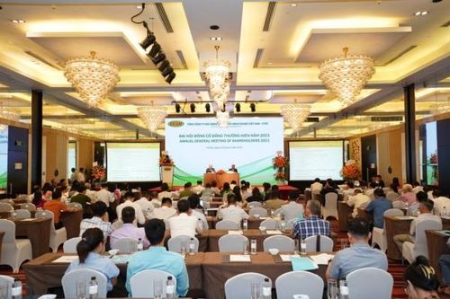 Sáng nay 20/6, VEAM họp bãi nhiệm, miễn nhiệm, bầu bổ sung thành viên Hội đồng quản trị