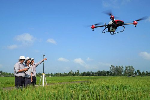 An Giang chuyển đổi số trong doanh nghiệp