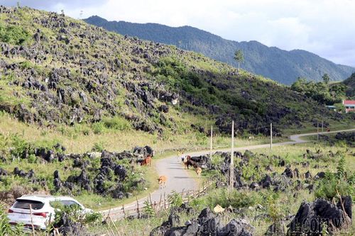 Vẻ đẹp cao nguyên đá Tả Phìn