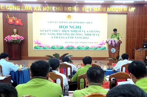 6 tháng đầu năm toàn tỉnh phát hiện 221 vụ vi phạm Luật Lâm nghiệp