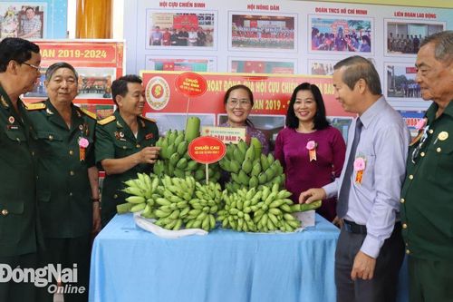 Nhiều mô hình hay trong thi đua cựu chiến binh gương mẫu