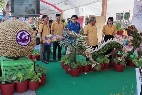 Đồng hành cùng sự phát triển hội quán, hợp tác xã