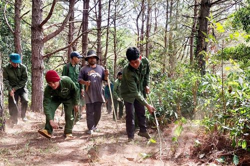 Siết chặt quản lý, bảo vệ rừng giáp ranh