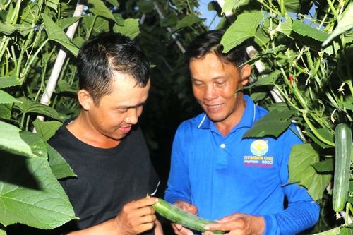 Đak Pơ lan tỏa phong trào nông dân thi đua sản xuất kinh doanh giỏi