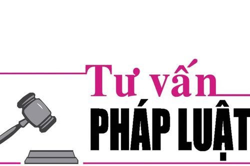 Luật sư Bùi Thanh Vũ tư vấn pháp luật về xin hoãn chấp hành án phạt tù để nuôi con nhỏ