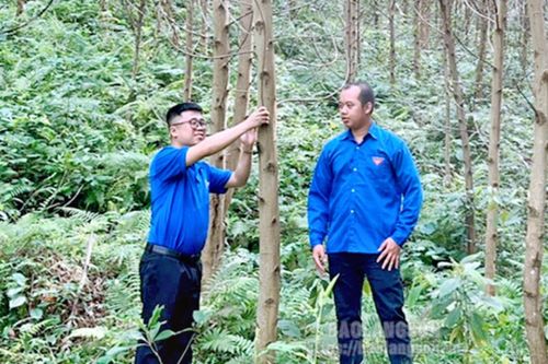 Cán bộ đoàn năng động hỗ trợ thanh niên khởi nghiệp, lập nghiệp
