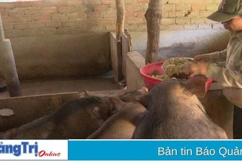 Gắn phát triển chăn nuôi với bảo vệ môi trường