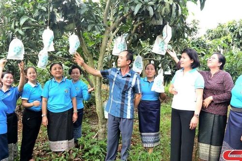 Hội LHPN các tỉnh nước CHDCND Lào thăm và học tập kinh nghiệm tại huyện Yên Châu, Mai Sơn