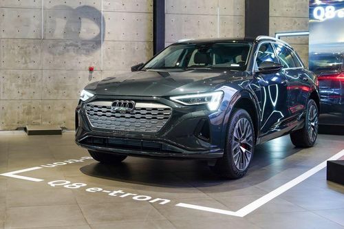 Nhiều xe xanh mới 'cập bến' Việt Nam