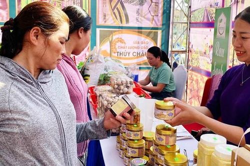 Đưa sản phẩm của hợp tác xã vươn xa