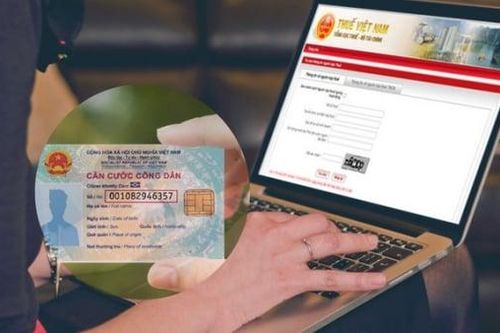 Đề xuất bổ sung quy định sử dụng mã số định danh làm mã số thuế