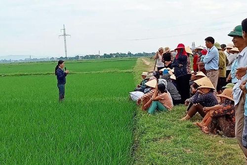Nghệ An: Đặc sắc phong trào thi đua 'Dân vận khéo' tại xã Khánh Thành (huyện Yên Thành)