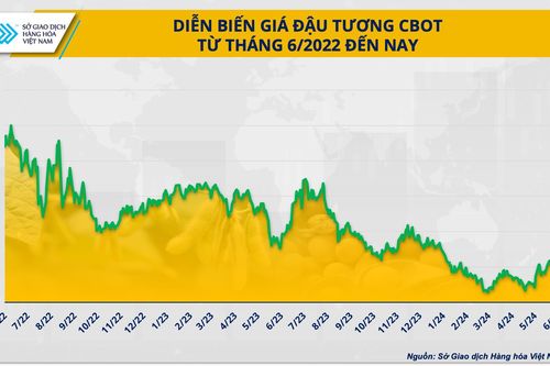 Khi nào đậu tương thoát cảnh 'rớt giá'?