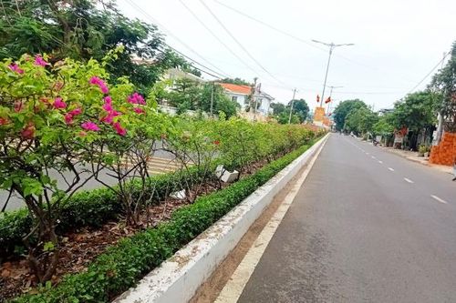 Bộ Công an yêu cầu tỉnh Phú Yên cung cấp tài liệu 30 dự án trồng cây xanh