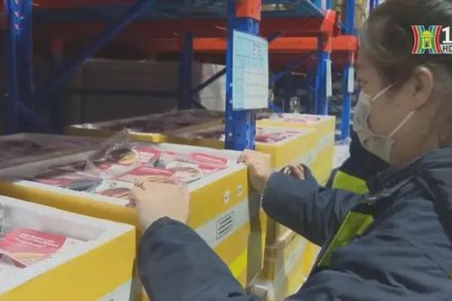 Kết nối hàng hóa Việt Nam vào chuỗi cung ứng toàn cầu