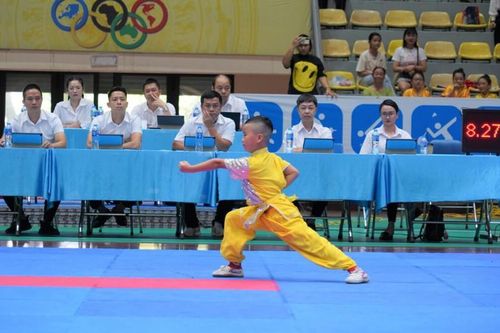Hà Nội tưng bừng giải thể thao học sinh hè 2024