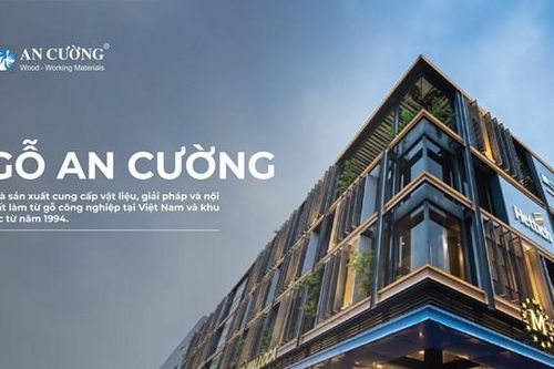 Gỗ An Cường (ACG) chốt ngày trả cổ tức đợt 2 bằng tiền năm 2023 tỷ lệ 8%