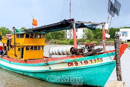 Bị phạt 100 triệu đồng vì tàu không gắn thiết bị giám sát hành trình