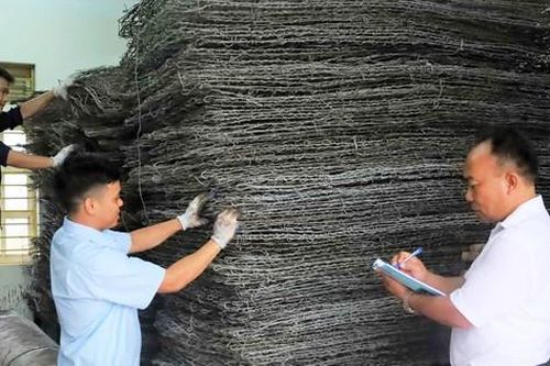 Hà Nội bảo đảm an toàn hệ thống đê điều mùa mưa lũ: Chú trọng '4 tại chỗ', xử lý ngay giờ đầu