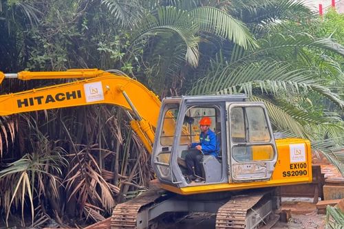 Hơn 1.100 người tham gia xây dựng cảnh quan tại quận 7