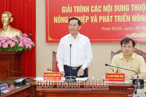 Thường trực HĐND tỉnh Nam Định tổ chức phiên giải trình các nội dung quan trọng