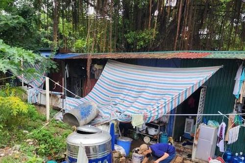Ngừng cấp điện cho 29 trường hợp hoạt động trái phép trên đất dự án sau phản ánh của Báo Tiền Phong