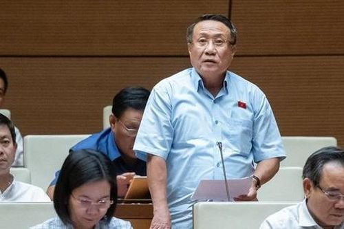 Đại biểu Quốc hội: Nhiều cán bộ 'vướng vòng lao lý' một phần do bất cập về đất đai