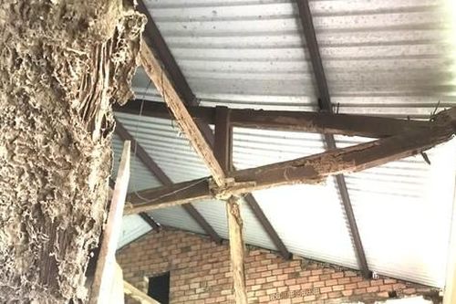 Trần nhà lớp học bất ngờ đổ sập, lộ xà gồ mục nhũn
