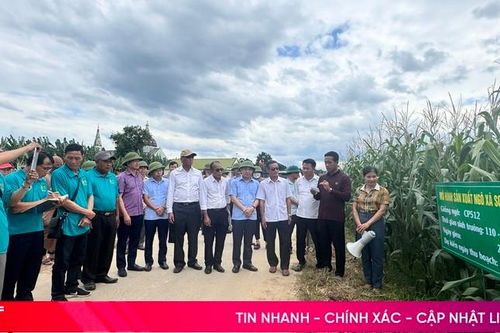 Hà Tĩnh và Bolikhămxay trao đổi kinh nghiệm phát triển mô hình sản xuất nông nghiệp