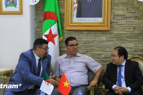 Tăng cường thúc đẩy hợp tác thương mại và đầu tư với địa phương ở Algeria