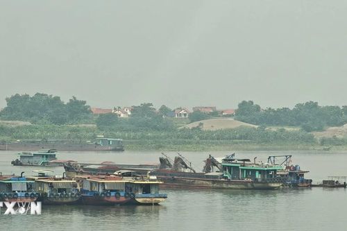 Phú Thọ đề nghị Hà Nội xử lý việc khai thác cát trái phép tại khu vực giáp ranh