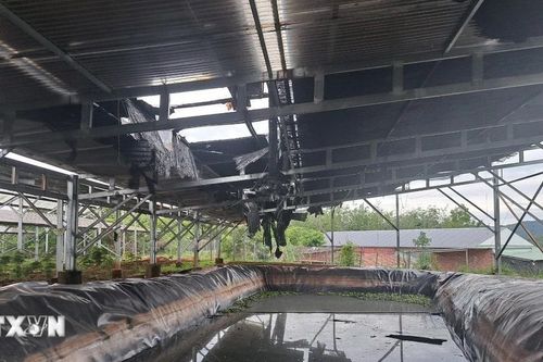 Bình Phước: Cháy hệ thống năng lượng mặt trời áp mái của doanh nghiệp