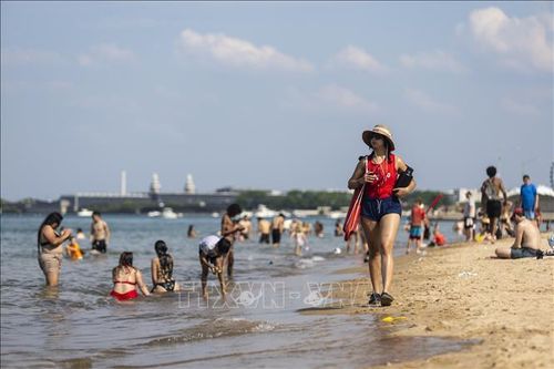 Thế giới đối mặt với nắng nóng thiêu đốt đầu mùa hè 2024