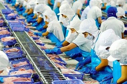 Xuất khẩu cá tra tích cực, cổ phiếu Vĩnh Hoàn được kỳ vọng tăng 16%