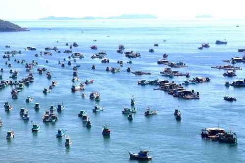 Cử tri đề nghị bổ sung hỗ trợ lãi suất chủ tàu cá
