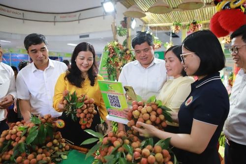 Hải Dương: Đa dạng hoạt động quảng bá, đẩy mạnh xúc tiến thương mại sản phẩm tiềm năng
