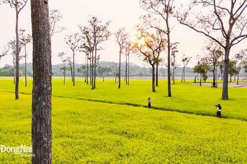 Khám phá Đồng Nai - Một 'điểm chạm', nhiều trải nghiệm