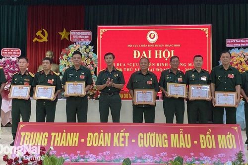 Tiếp tục đẩy mạnh thi đua cựu chiến binh gương mẫu