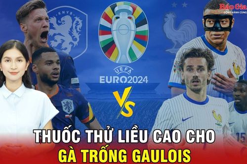 Thuốc thử liều cao cho Gà trống Gaulois