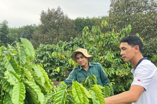 Bí thư chi đoàn làm kinh tế giỏi
