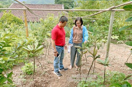 Tăng cường bảo tồn nguồn gen động, thực vật quý