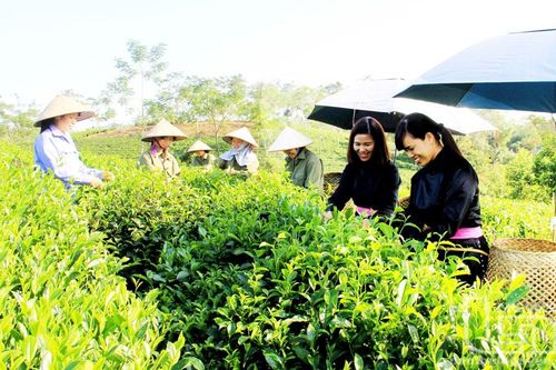 Định Hóa quan tâm thực hiện hiệu quả các chính sách dân tộc