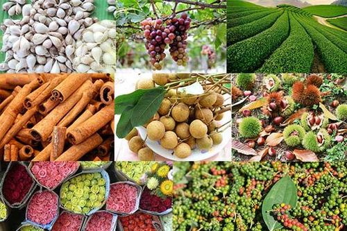 Việt Nam tăng trưởng kinh tế cao nhất Đông Nam Á