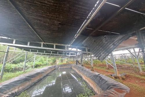 Hệ thống năng lượng mặt trời áp mái bị lửa thiêu rụi 100 tấm pin