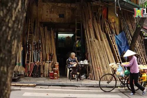 Phố tre giữa lòng khu phố cổ Hà Nội