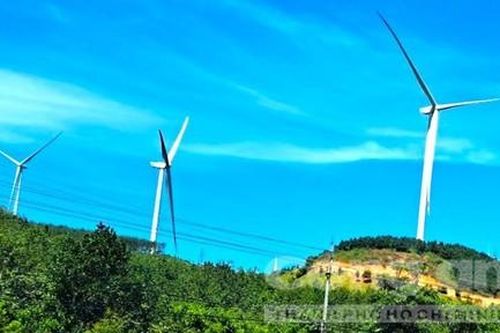 Đề nghị thanh tra toàn diện dự án điện gió tại Kon Tum